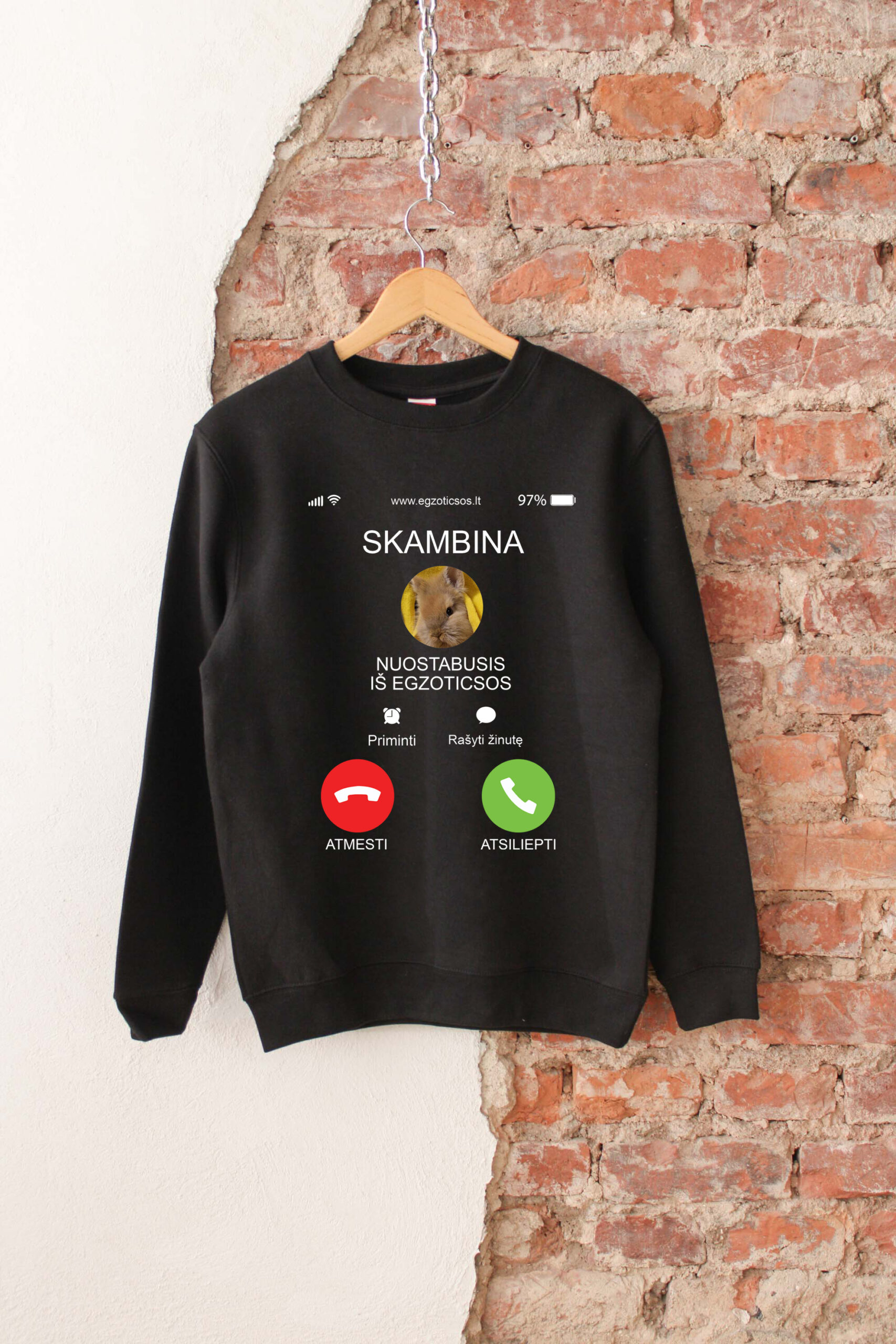 EGZOTICSOS PARAMOS BLIUZONAS - Image 4